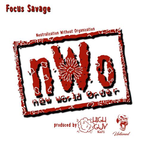 nWo (Neutralization Without Orginization)
