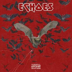 Echoes