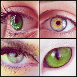 Eyes of Jade