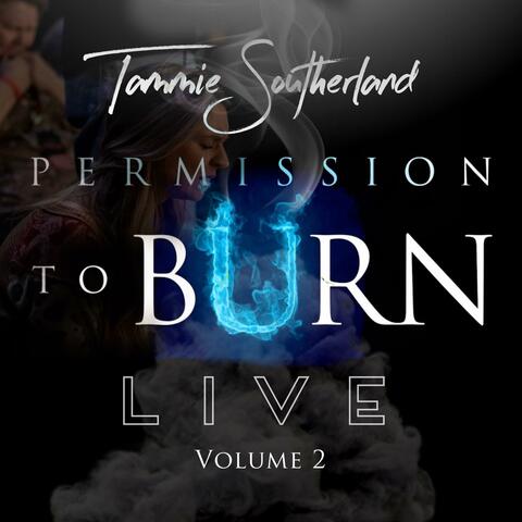 Permission to Burn, Vol. 2