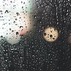 The Race But It's In A Sad Tone