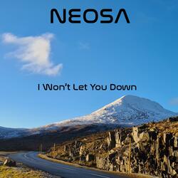 I Won't Let You Down