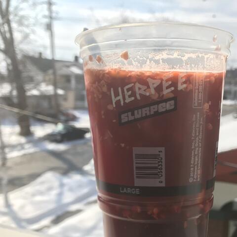 Herpee Slurpee