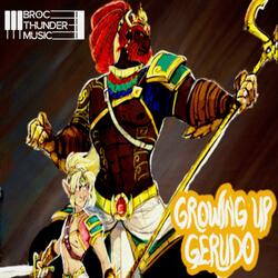 Growing Up Gerudo