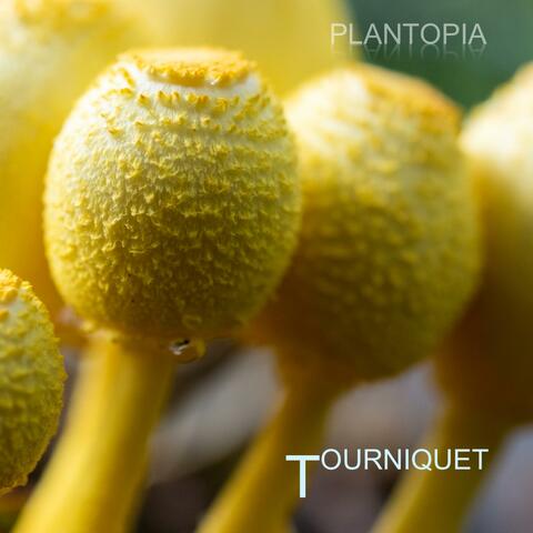 Tourniquet