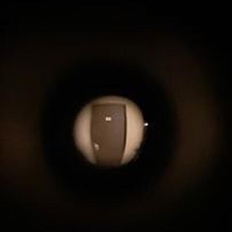 With want and warrant.