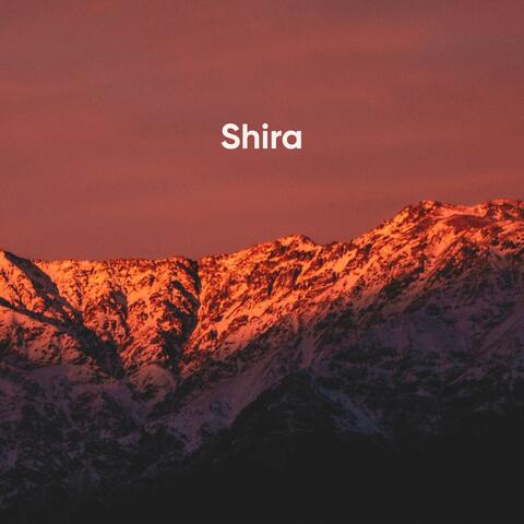 Shira