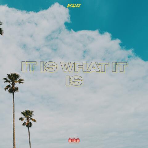 It Is What It Is