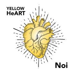 Noi