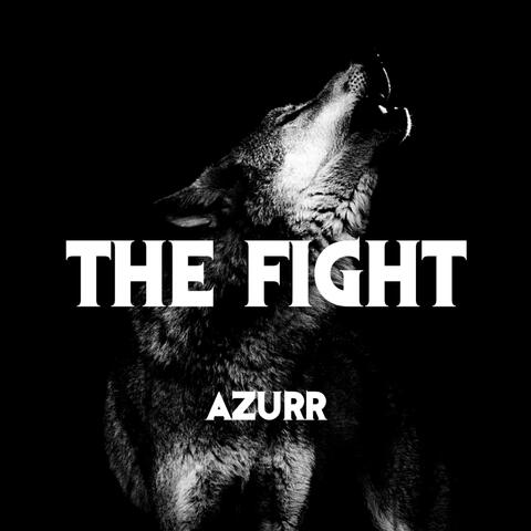 The Fight