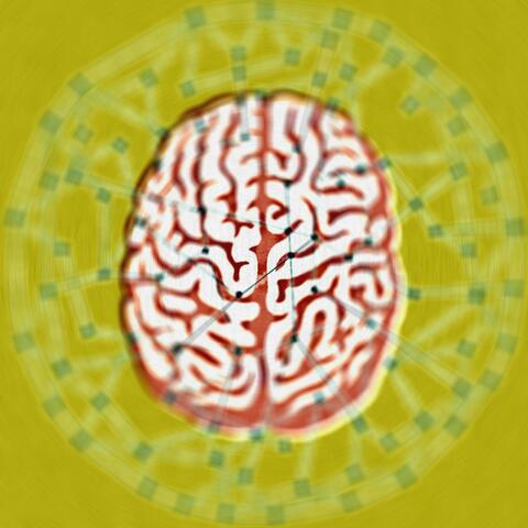 Intelligence