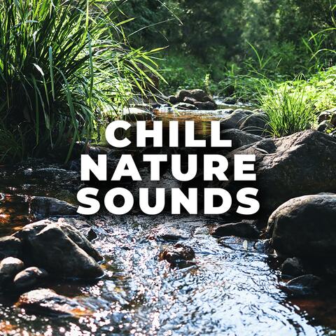 Australian Creek Sounds