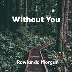 Without You