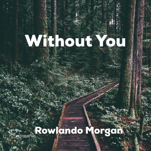 Without You