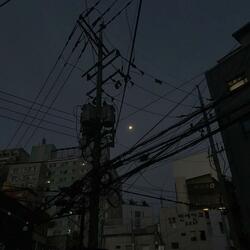 love is in the air...but I can't breathe