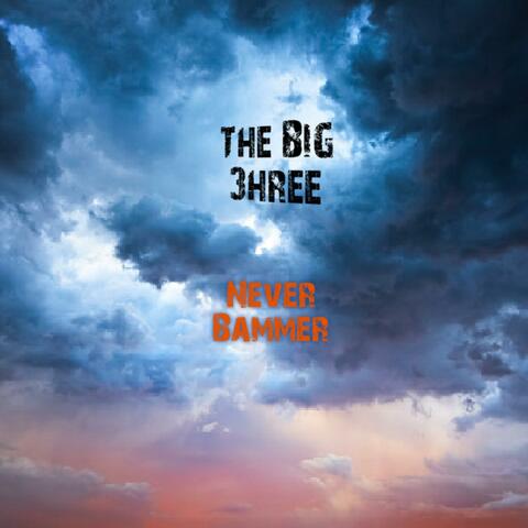 NEVER BAMMER