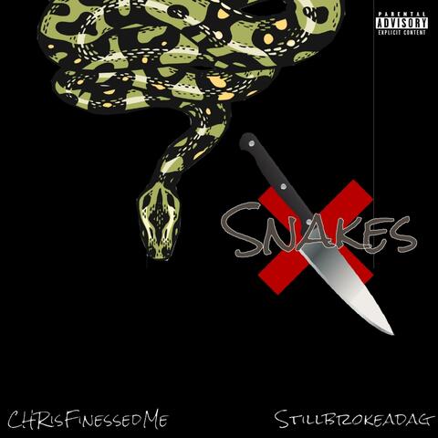 Snakes (feat. StillbrokeAdag)