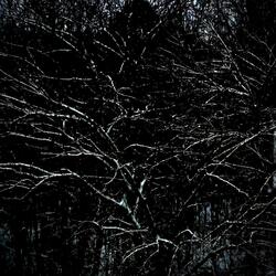 Hollowing