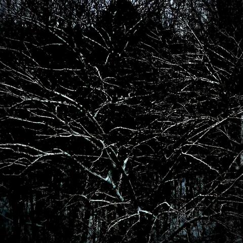 Hollowing