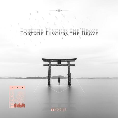 Fortune Favours the Brave