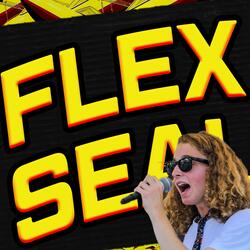 Flex Seal