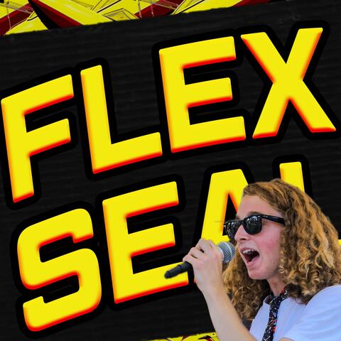 Flex Seal