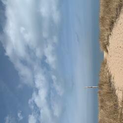 Somewhere in between