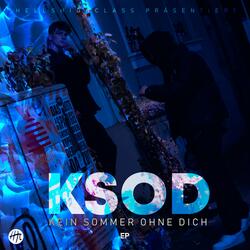 Nur Bekannte (feat. Psy2)