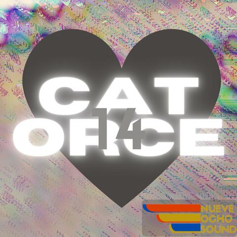Catorce