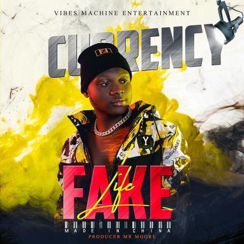 fake life