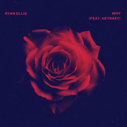 Why (feat. heyraey)