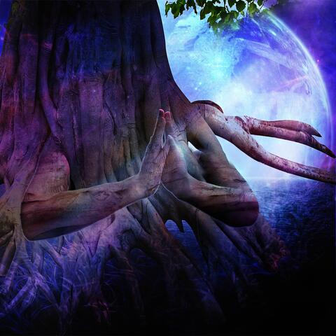 Beneath the Bodhi Tree