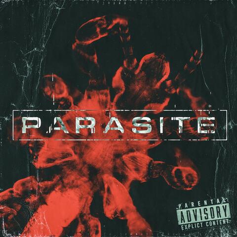 Parasite