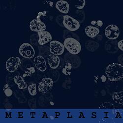 Metaplasia