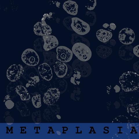 Metaplasia