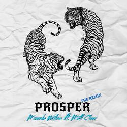 Prosper (feat. Matt Cleev)
