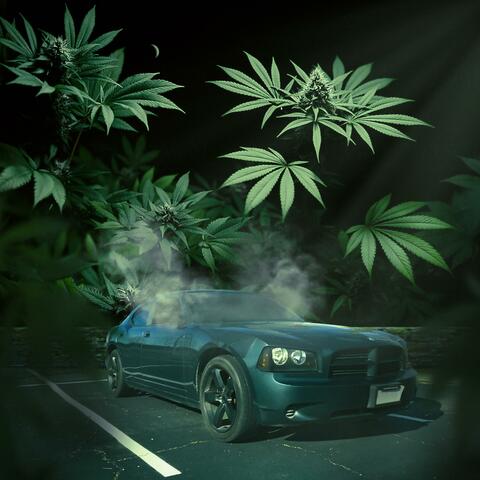 City of Trees ep