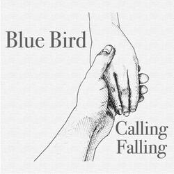 Calling Falling