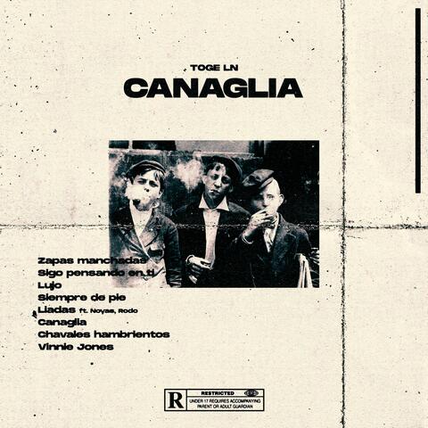 Canaglia