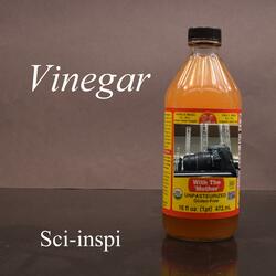 Vinegar