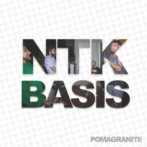 NTK BASIS