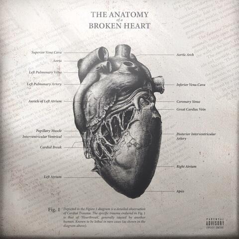 The Anatomy of a Broken Heart