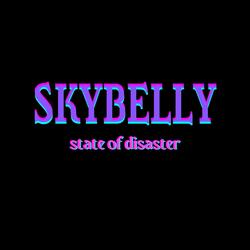 state of disaster