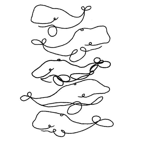 Mazunte // mouth to the wind