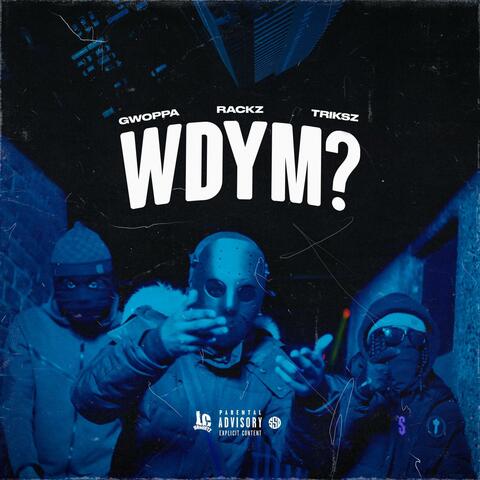 WDYM? (feat. Triksz LC)