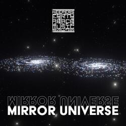 Mirror Universe
