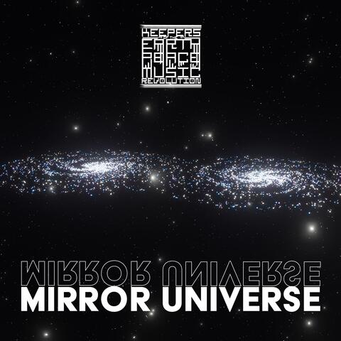 Mirror Universe