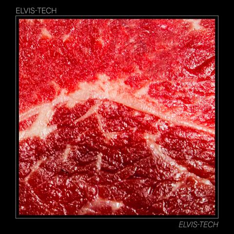 Elvis-Tech