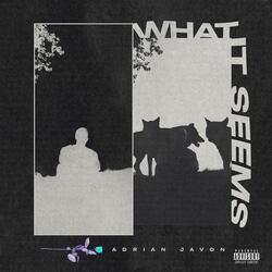 What It Seems (feat. Sham1016)
