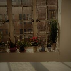 Windowsill